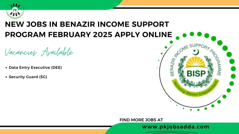 Benazir Income Support Program Jobs